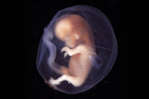 Final del primer trimestre