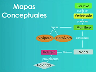 3° Estadio: 3° Generación.