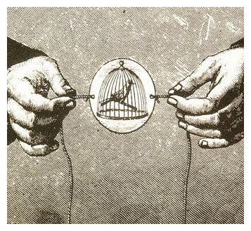 Invención del Taumatropo