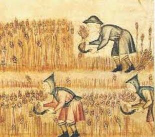 Servitù della gleba