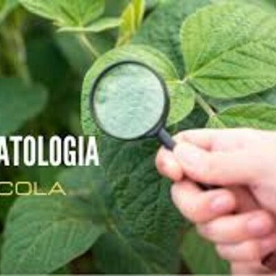 Timeline: Historia de los conceptos de causa y enfermedad: paralelismo entre  la Medicina y la Fitopatología