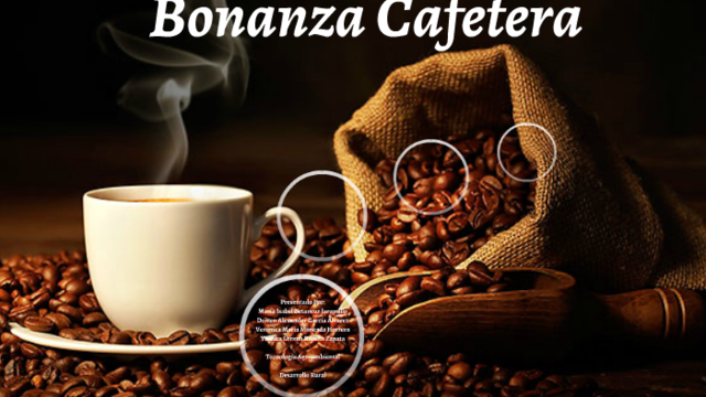 La bonanza cafetera de 1954