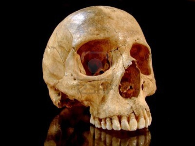 The oldest known human ancestor (Ardipithecus ramidus) is found in Kenya, East Africa. The find was estimated at 4.4 million years old.