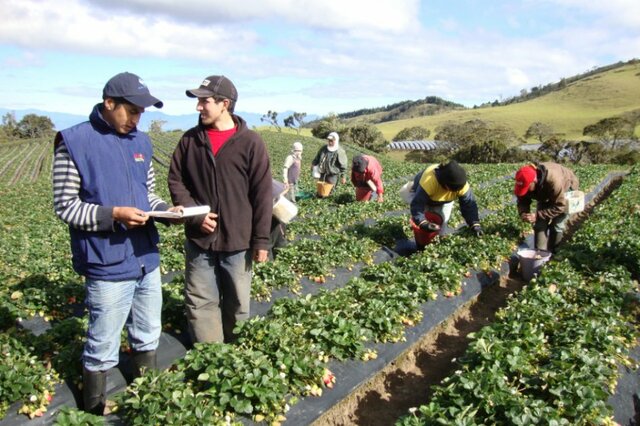 Economía Solidaria en Colombia