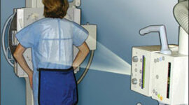 Timeline: Linea del tiempo