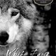 White fang