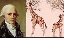 TAXONOMÍA DE LAS ENFERMEDADES