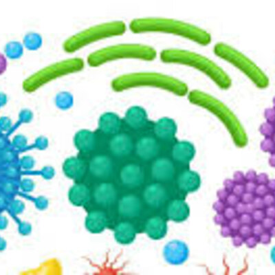 Timeline: Historia de las enfermedades