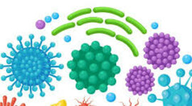 Timeline: Historia de las enfermedades