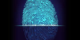 When was the Fingerprinting System Developed?