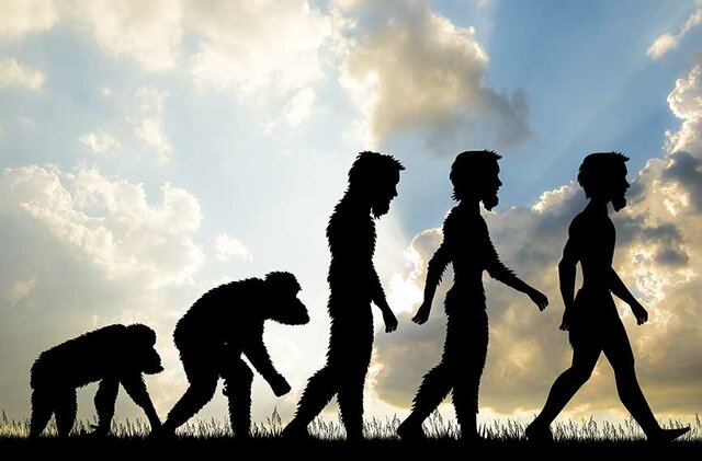 Evolución biológica del hombre