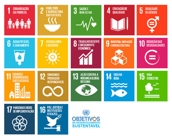 Establecimiento de los ODS