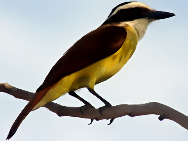 A bird represents Mother Teresa