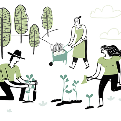 Timeline: Sistematización de los avances de la Economía Solidaria