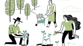 Timeline: Sistematización de los avances de la Economía Solidaria