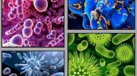 Timeline: EL ORIGEN DE LAS ENFERMEDADES