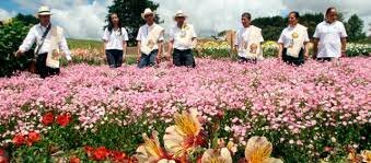 feria de las flores 20212