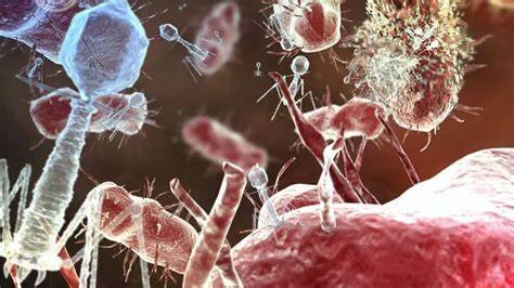 LA TEORÍA MICROBIANA