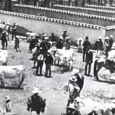 Timeline: INICIATIVA CULTURAL REGIONAL, FERIA DE GANADO.