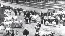 Timeline: INICIATIVA CULTURAL REGIONAL, FERIA DE GANADO.