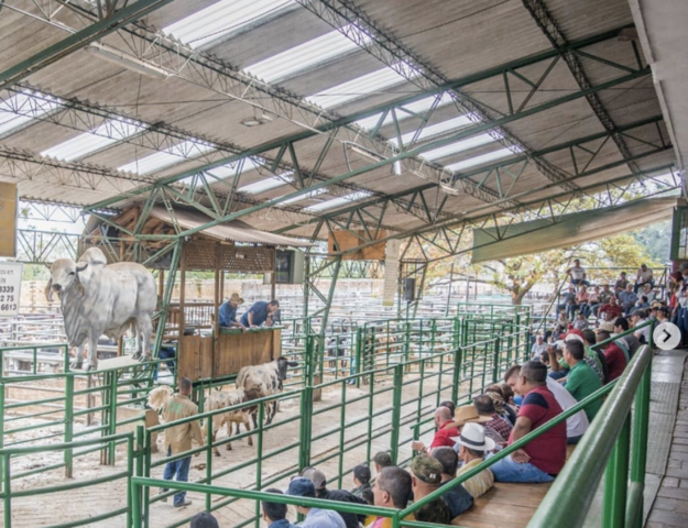 PRIMER EVENTO DE GANADERIA