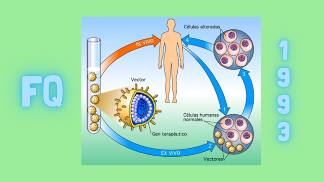Terapia génica en humanos con FQ
