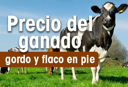 FERIA DE LA GANADERIA
