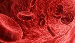 EFECTOS BIOLÓGICOS DE LA RADIACIÓN