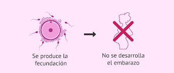 EFECTOS BIOLÓGICOS DE LA RADIACIÓN