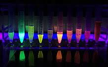 Marcadores de Proteínas Fluorescentes