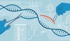 PCR