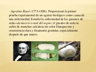 LA TEORIA MICROBIANA SIN PASTEUR Y KOCH