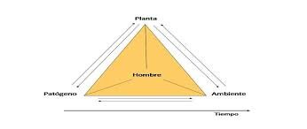 Otras nociones de causas