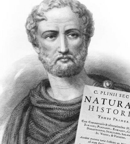 Plinio el viejo