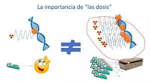 manifestación de efectos biológicos