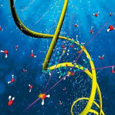 EFECTOS BIOLOGICOS DE LA RADIACION