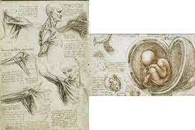 MIGUEL JUAN PASCUAL, 1505 – 1561