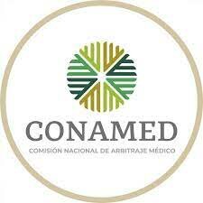 Implementación de servicios de salud (hasta 1999)