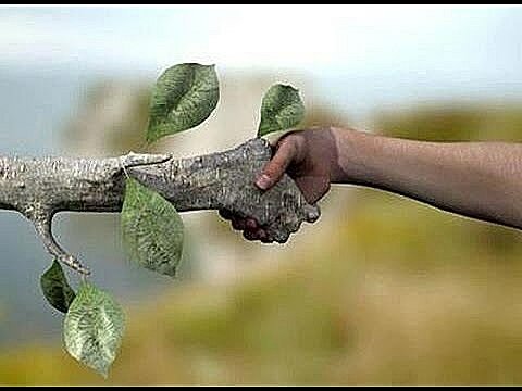 otras nociones de causa