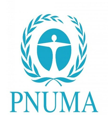 PROGRAMA DE LAS NACIONES UNIDAS PARA EL MEDIO AMBIENTE - PNUMA