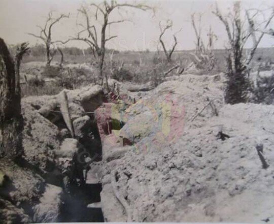 Participó en la Guerra del Chaco