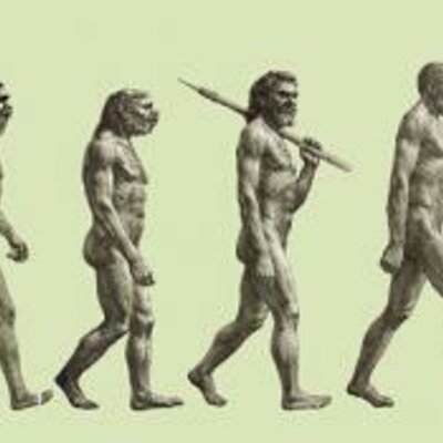 Timeline: EVOLUCIÓN ANTROPOLÓGICA DE LA CULTURA