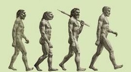 Timeline: EVOLUCIÓN ANTROPOLÓGICA DE LA CULTURA