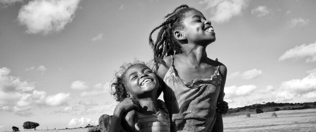 Auge de la estadística descriptiva