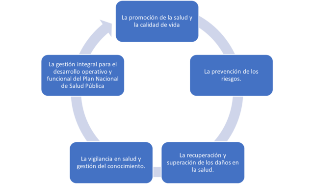 LÍNEAS PARA EL DESARROLLO DE LA POLÍTICA EN SALUD