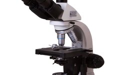 Timeline: MICROSCOPIOS