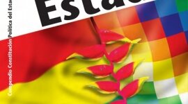 Timeline: 19 reformas de la constitución boliviana