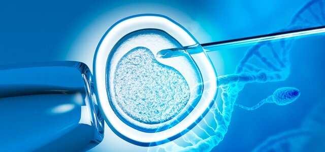 Primer Bebe Concebido In Vitro