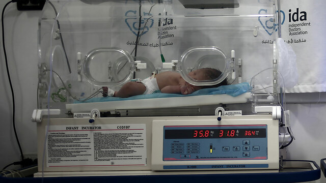 mis primeros 5 meses en la Encubadora