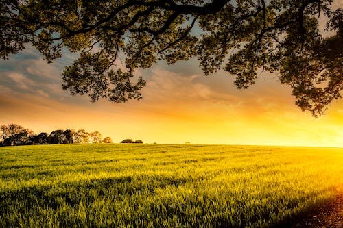 Mi primera vez en el campo